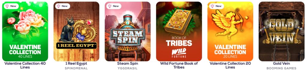 Wild Fortune Slots